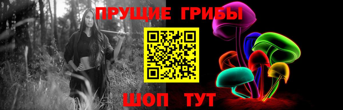 Галлюциногенные грибы Psilocybe Городец